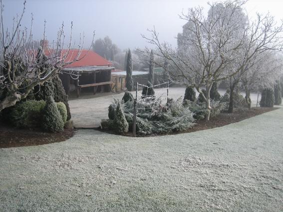 Vineyard Cottage Bnb Gumeracha Exterior photo