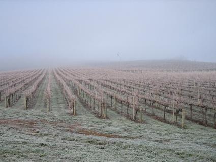 Vineyard Cottage Bnb Gumeracha Exterior photo