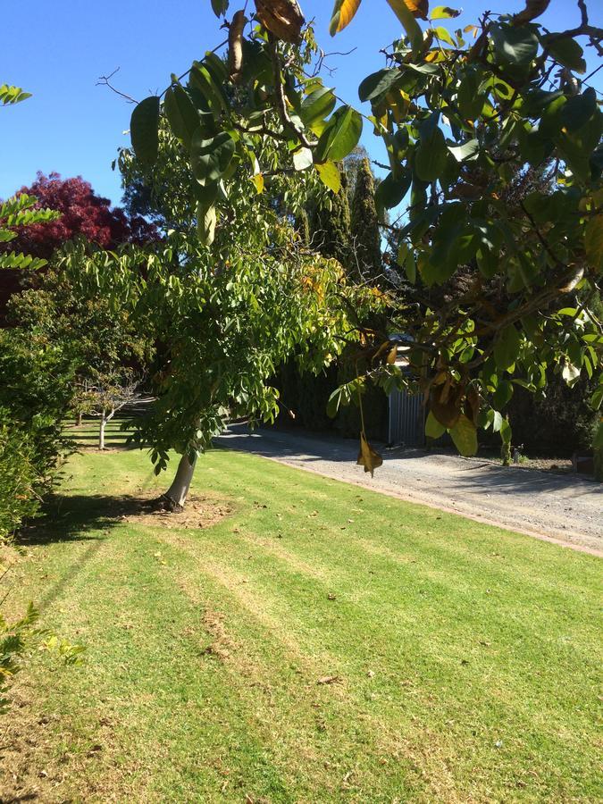Vineyard Cottage Bnb Gumeracha Exterior photo